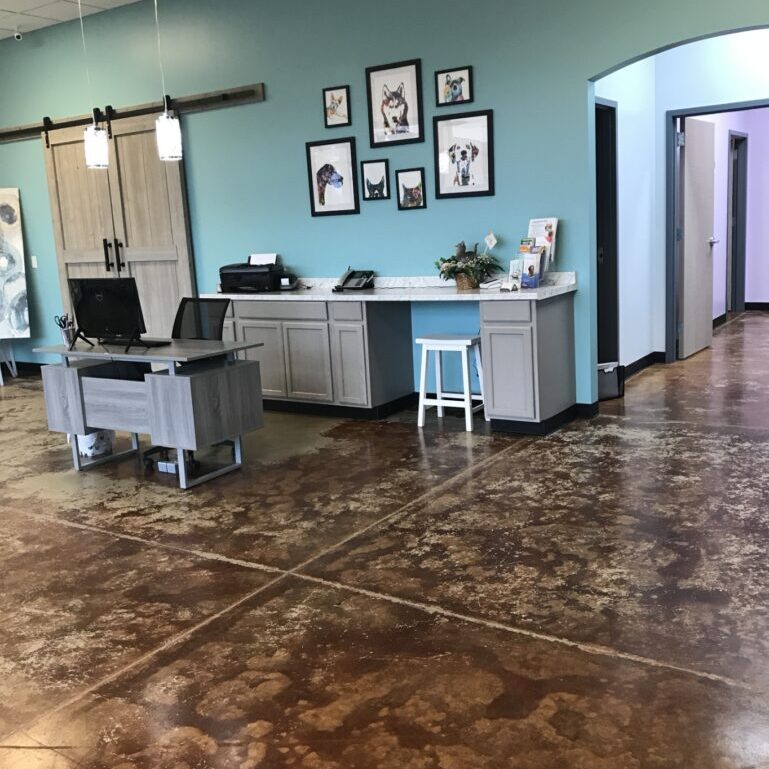 An office with teal wall and desk next to it