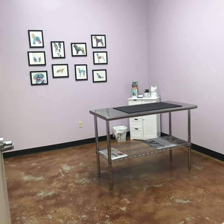 A metal table for pets in a room with light purple color wall and multiple photos hanging on one wall