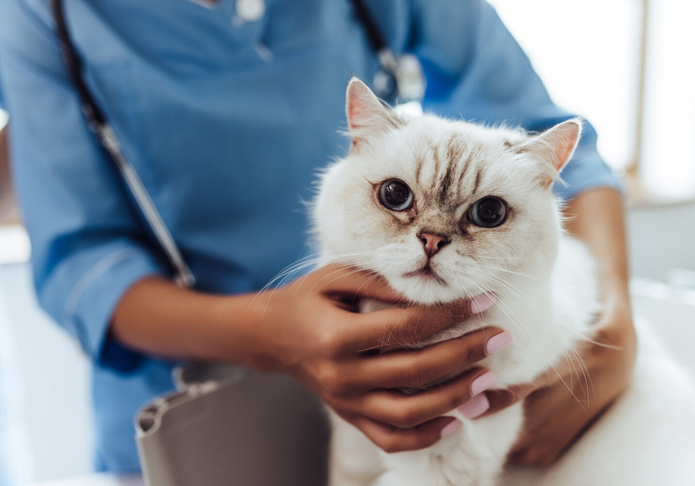 pet care laboratory services